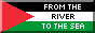 Palestine 88x31 button